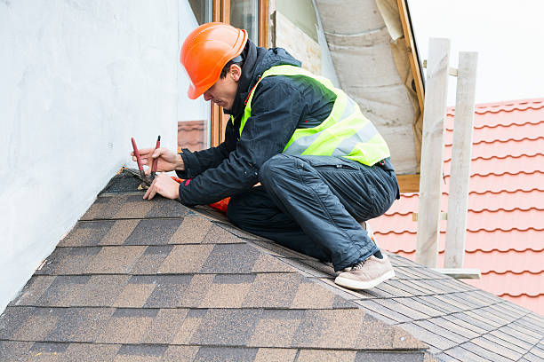 Best Local Roofing Companies  in Lakewood Clu, MI